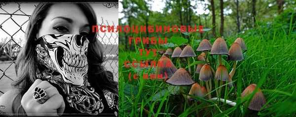 spice Абинск