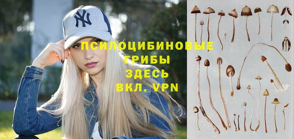 СК Абаза