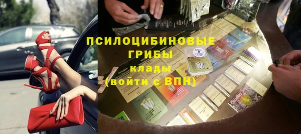 ПСИЛОЦИБИНОВЫЕ ГРИБЫ Абдулино