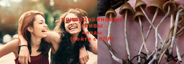спайс Нефтегорск