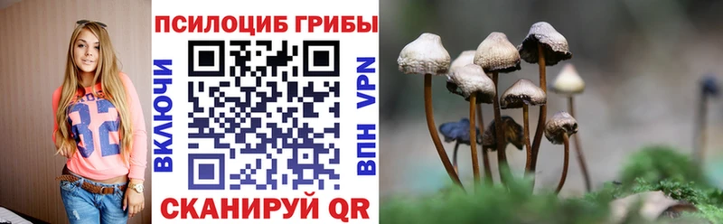 наркота  Вичуга  Псилоцибиновые грибы Psilocybe 